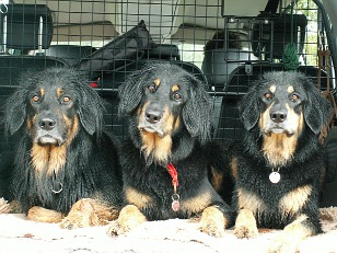 Anton, Hannah und Lena