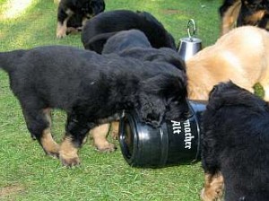 ... und trinken natürlich ...