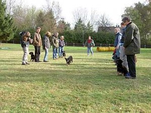 Hundeplatz (4)