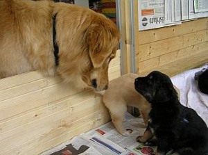 Halbschwester Aura zu Besuch