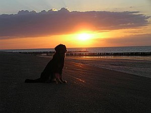 Hannah am Strand beim Sonnenuntergang.