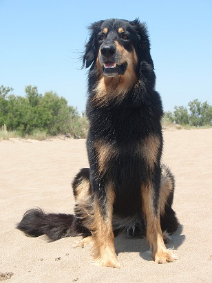 am Strand