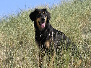 Lena in den Dünen